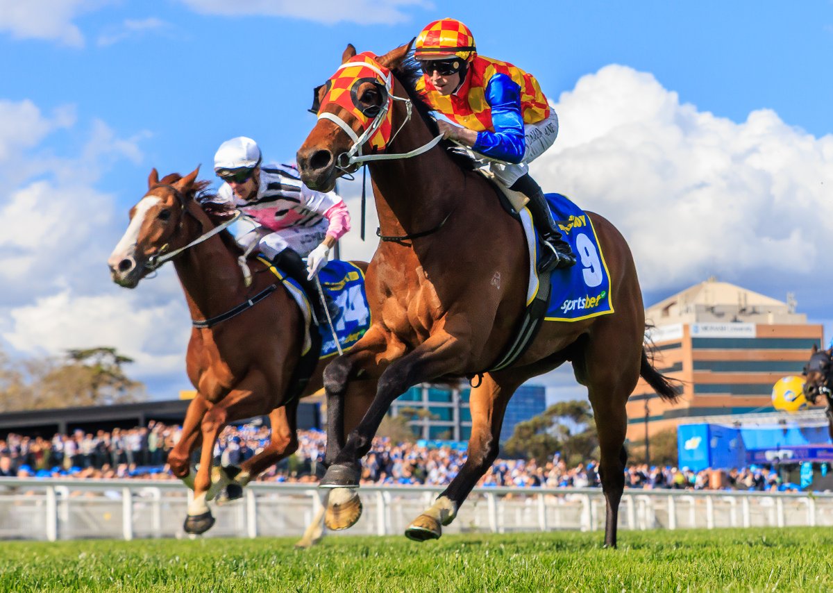 paomaphotos's tweet image. Damian Lane and Chris Waller combined to win the Caulfield Guineas with Autumn Boy (The Autumn Sun 🇦🇺 x Rosegarden 🇳🇿). #HorseRacing