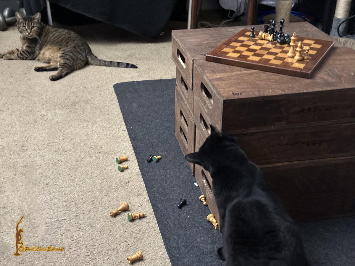 PLEPhotography's tweet image. Your move! In Honor of National Chess Day!