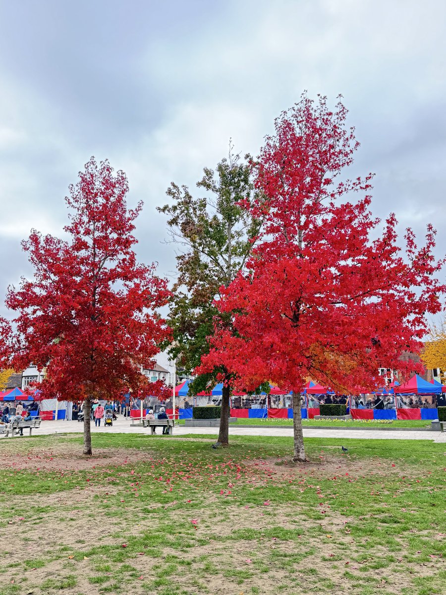 Mahmut Tör tweet media