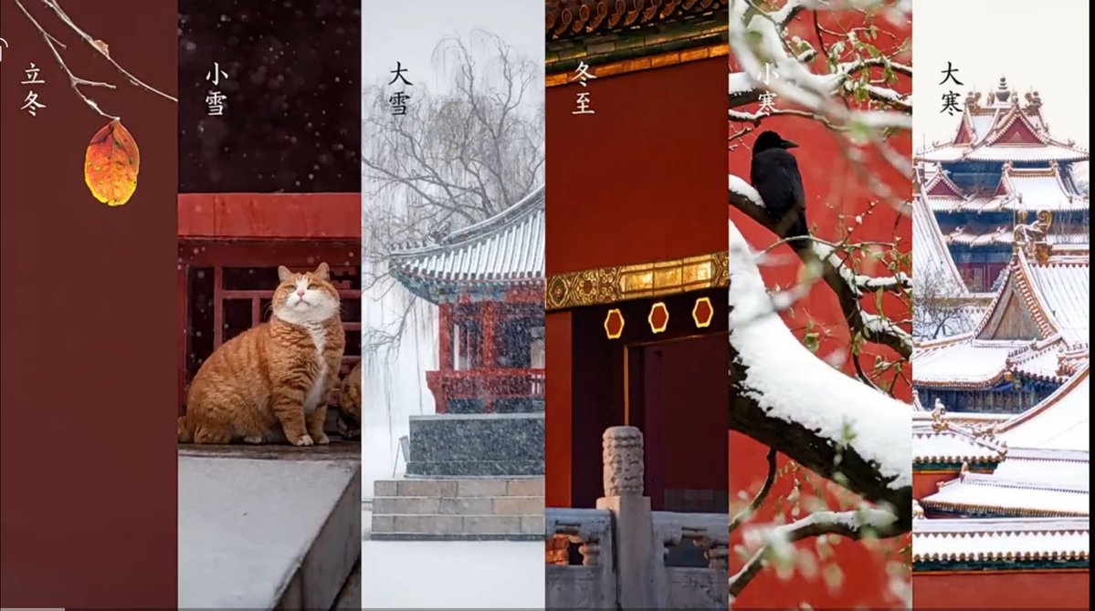 Descubre_China's tweet image. Postales de la Cuidad Prohibida 😍 🇨🇳👏🏻

#China #Asia #Beijing #Palacio #Museo #Centenario #Cultura