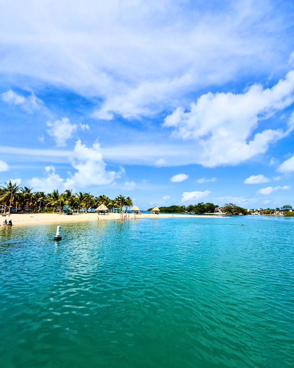 Gecko Vacation Rentals tweet media