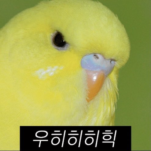 왜 지금 깬거지