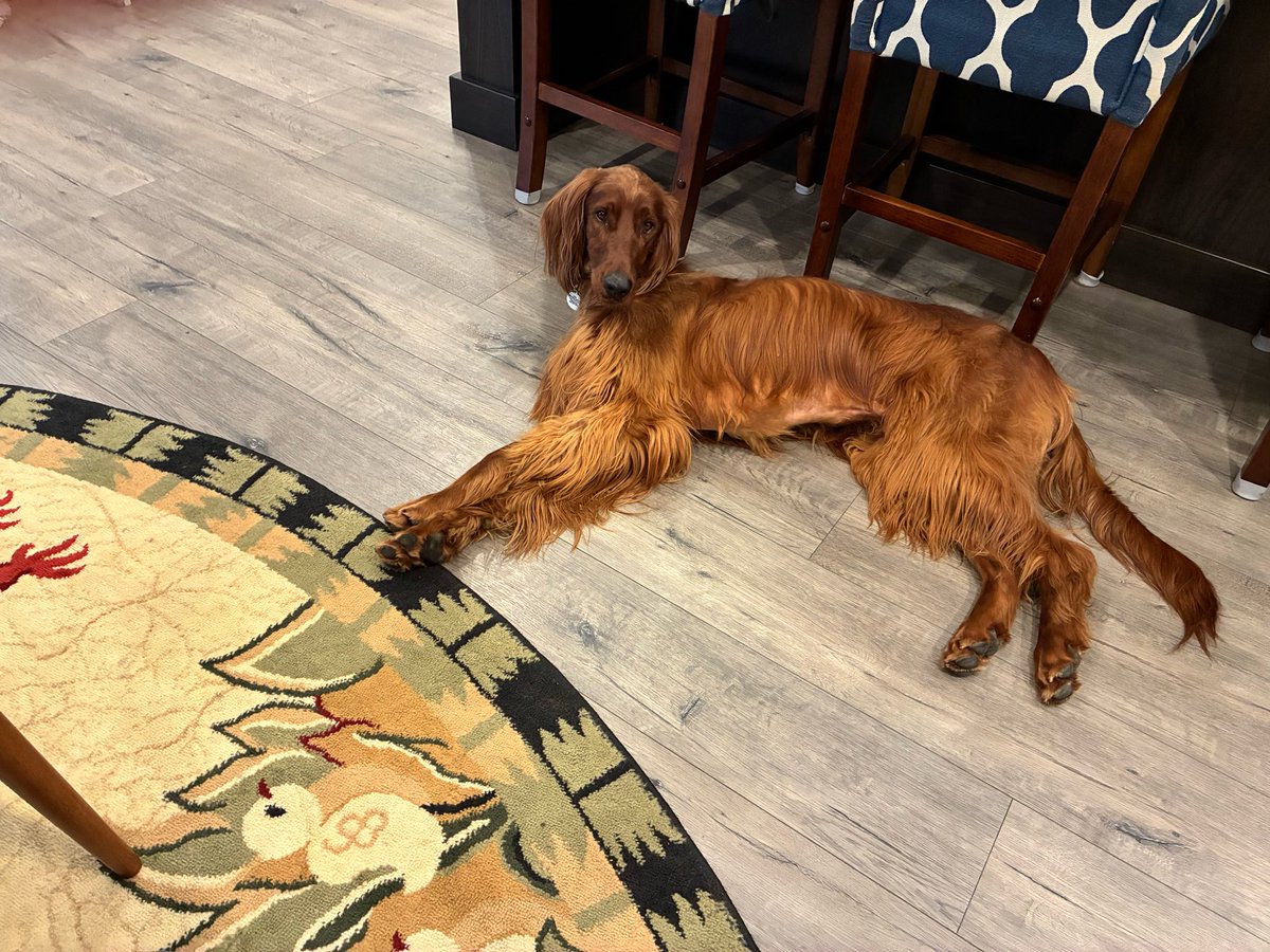 Connie B. (@1irish2wheaties) on Twitter photo 