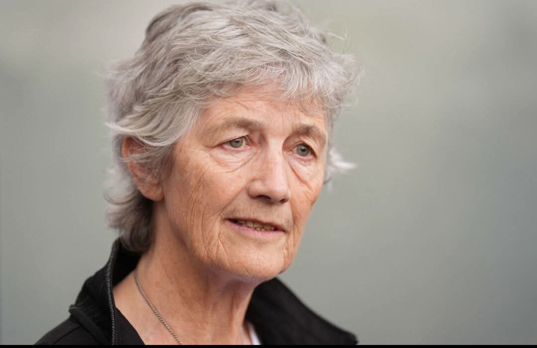 This woman stood with vulture funds and destroyed families lives 👍🇮🇪🇮🇪