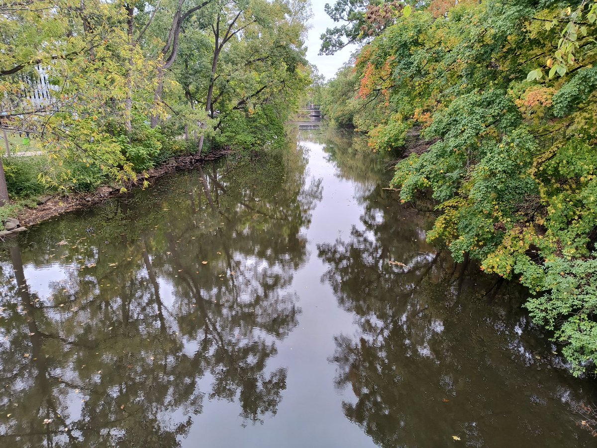RdshetJr's tweet image. Another beautiful homecoming at Michigan State
