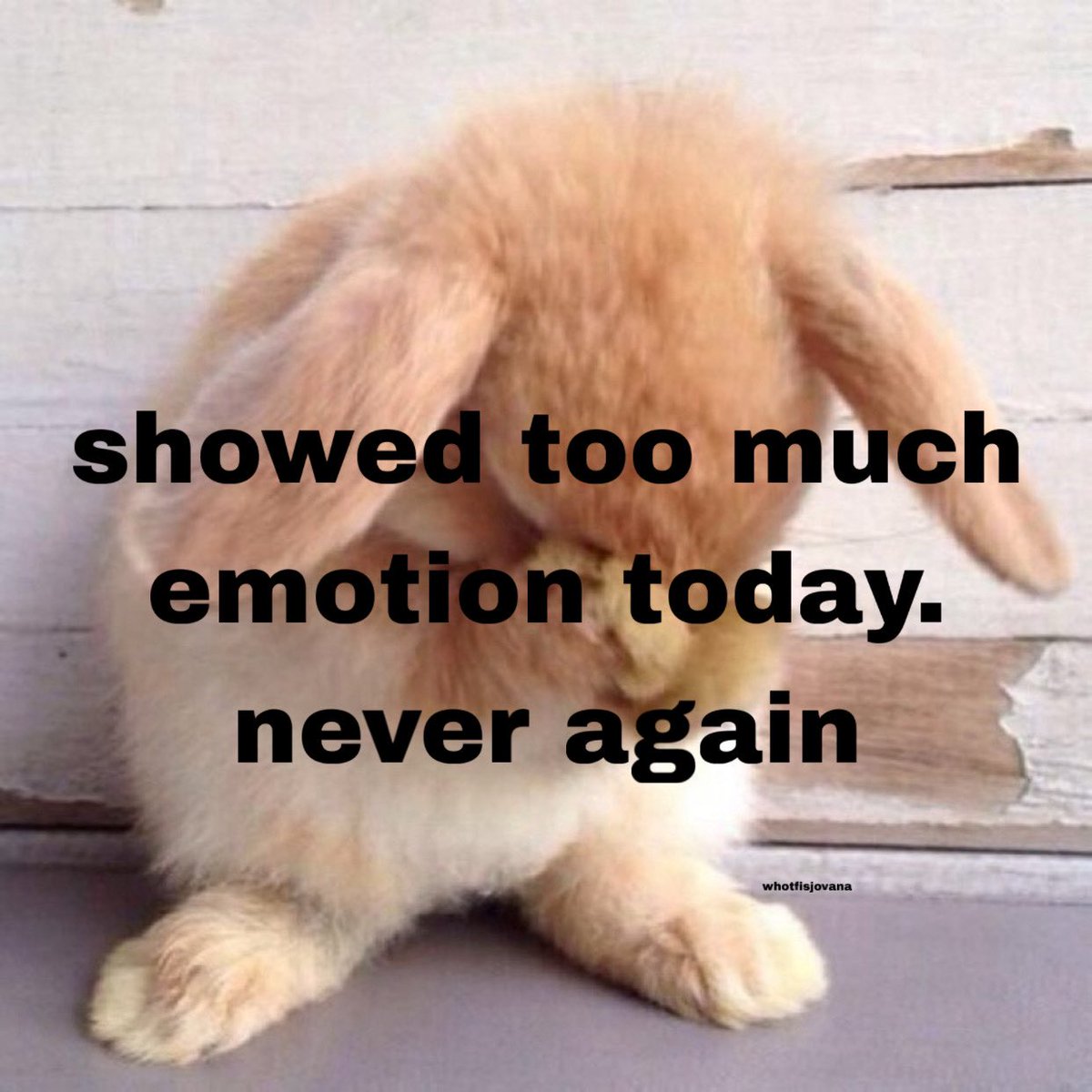 whotfisjovana's tweet image. 