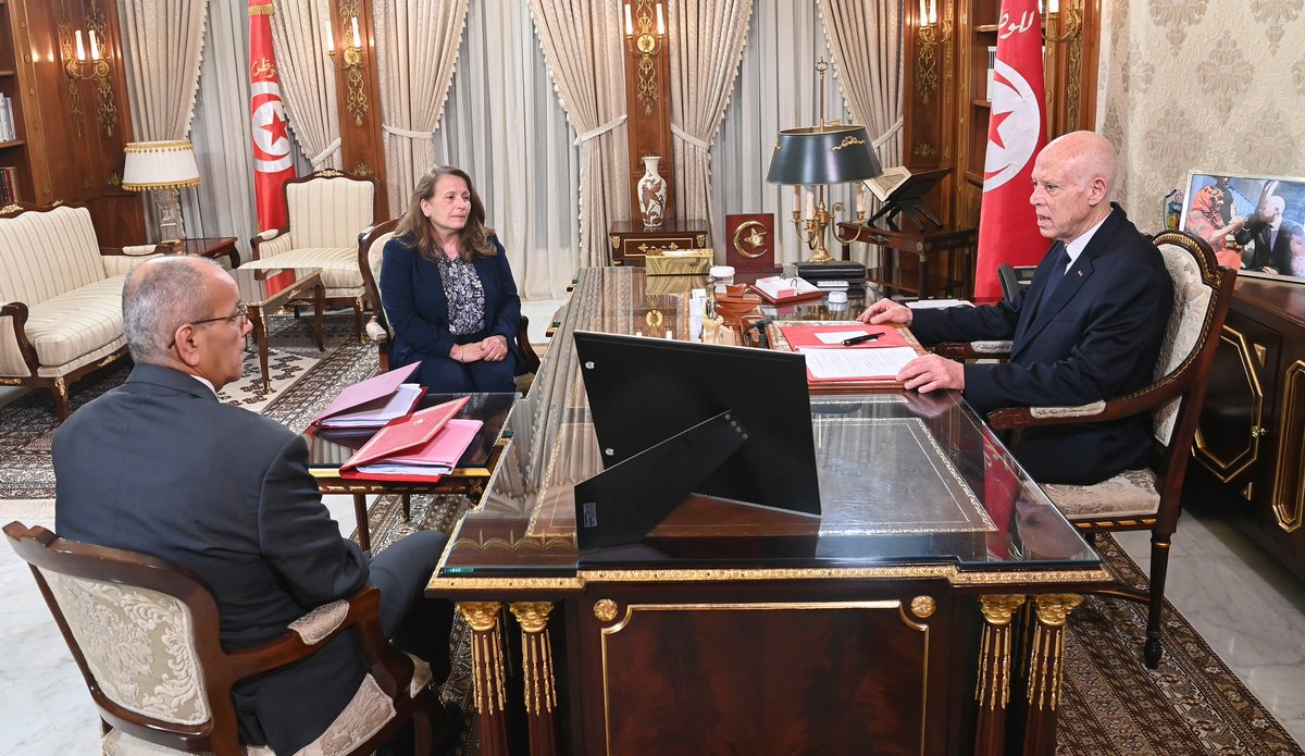 #Tunisia: President Kais Saied ordered dispatching a joint team from the ministries of Industry, Energy and Mines and the Environment to the phosphoric acid plant of the #Gabes Chemical Group to implement all required fixes as quickly as possible. tinyurl.com/myyd59jm