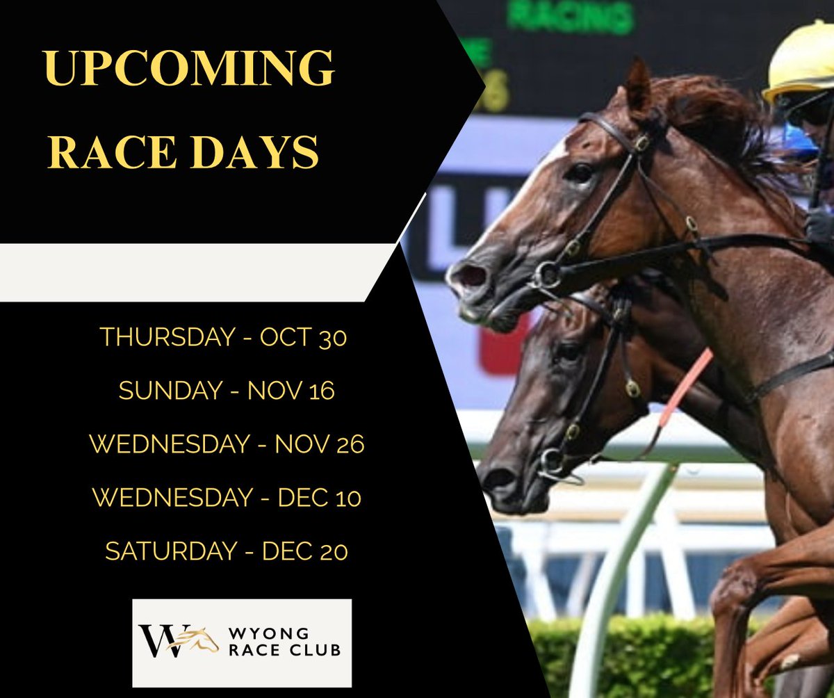WyongRaceClub's tweet image. Grab the diary &amp;amp; don&apos;t miss a day of racing at Wyong 👇
Upcoming meetings include our popular @mmsnippets Race Day on Wednesday, December 10 &amp;amp; Christmas At The Races, Saturday, December 20 🌲🎅🥂🍻
Head to our website 👉wyongraceclub.com.au for tickets &amp;amp; more info #wyongraces