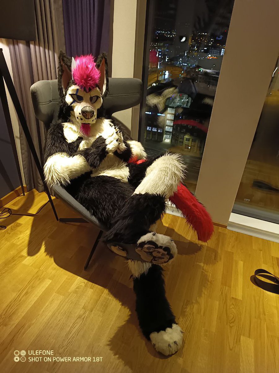 <a href="/pleoshep/">pleo 🌵</a>