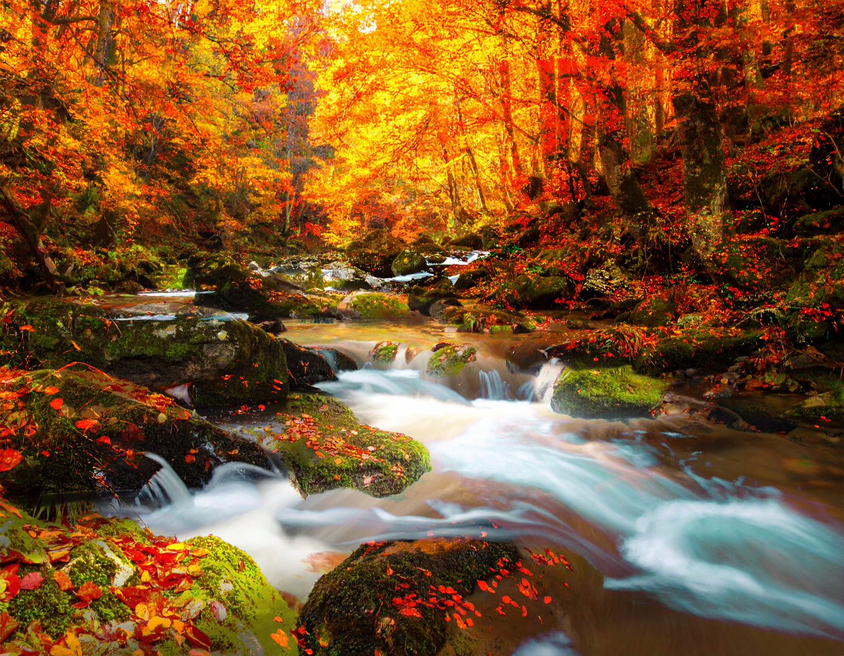 sanrotasu0216's tweet image. Crystal clear river  Dòng sông trong vắt  #AI  #PS  #Adobe