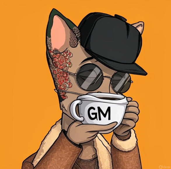 blimbroc's tweet image. Good Morning CT☀️

Sunday still active? you&apos;r Legend 🫡

who&apos;s active? 👀