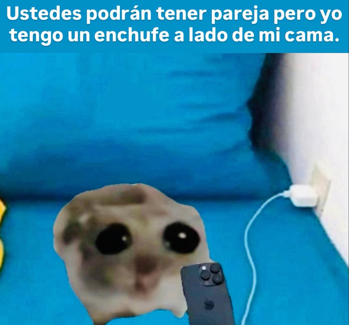piña sin pizza tweet media