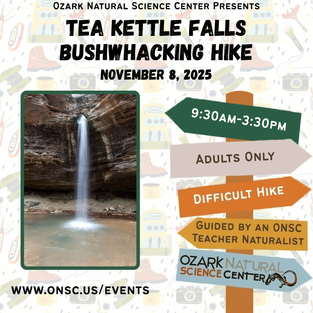 ozarknatsci's tweet image. 🥾 Ready to chase waterfalls?

In just 4 weeks, we&apos;ll trek through the rugged beauty of the Ozark forest on our Tea Kettle Falls Bushwhacking Hike—a 5-mile, off-trail journey to T... onsc.us/events-1/2025-… 

#ONSC #FallHikes #TeaKettleFalls #GetOutside #AdventureAwaits