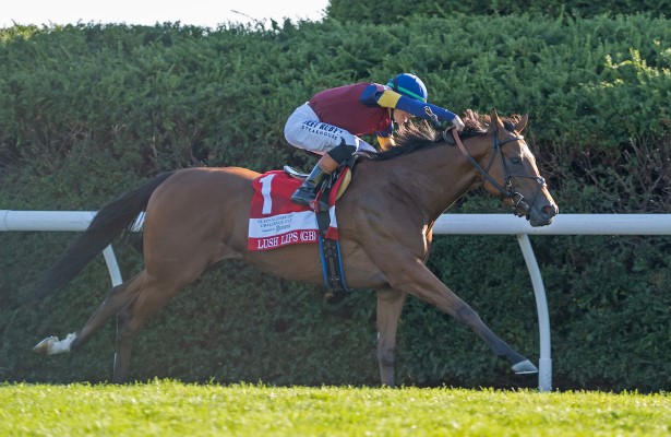 Horse Racing Nation (@hr_nation) on Twitter photo Kiss of victory.
Lush Lips stalks and scores for 1st Grade 1 win in QEII Challenge Cup at <a href="/keenelandracing/">Keeneland Racing</a>.
horseracingnation.com/news/Lush_Lips…
📸 Jessica Morgan / <a href="/EclipseSports/">Eclipse Sportswire</a> Kiss of victory.
Lush Lips stalks and scores for 1st Grade 1 win in QEII Challenge Cup at <a href="/keenelandracing/">Keeneland Racing</a>.
horseracingnation.com/news/Lush_Lips…
📸 Jessica Morgan / <a href="/EclipseSports/">Eclipse Sportswire</a>