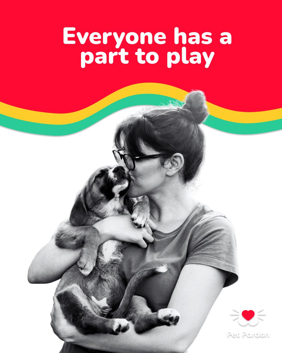 🐾 We’re proud to be part of this amazing community! Every dog we share is tracked in our pledge app—once confirmed safe, you’ll get notified with freedom pics/videos + rescue info.

🔗 Download the Pet Pardon app here: loom.ly/ZOH6ChY

💙 #ShareToSaveALife #AnimalRescue