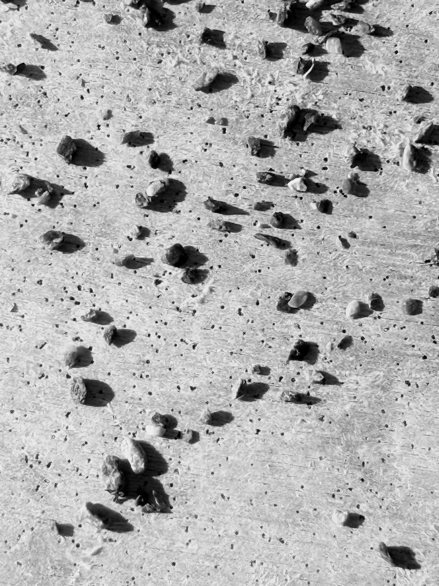 Alonein43672278's tweet image. #photography #blackandwhite #table #wood #holes #stones