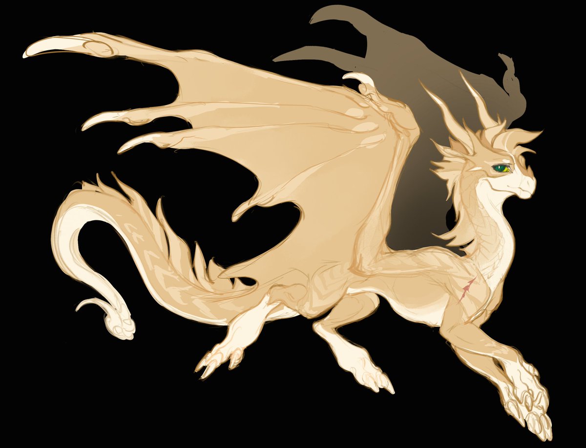 夜心Night heart tweet media