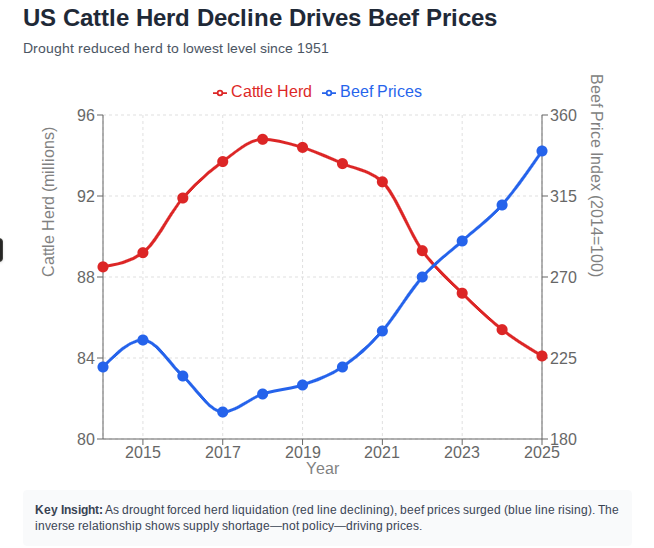 Sean Tinney tweet media