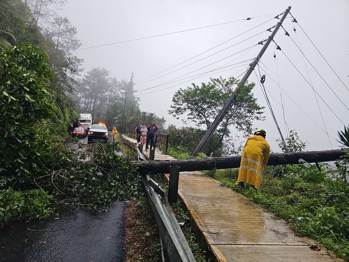 MasNoticiasRTV's tweet photo. Gobernadora coordina envío de #víveres y #atención a #familias #damnificadas

✍️ Más información👇 
https://t.co/VXsYTH0tG9 https://t.co/1d6nHIOe1g