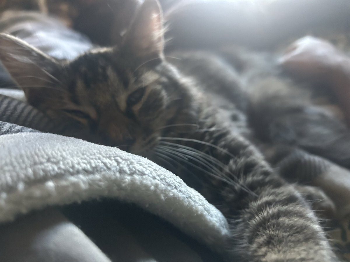 SupportPossum's tweet image. She doesn’t know the economy is in shambles