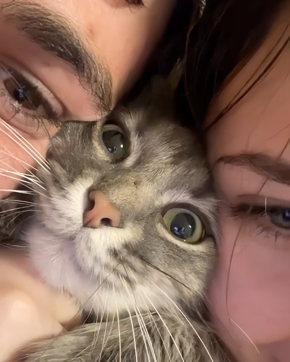 PunchingCat's tweet photo. https://t.co/vNfdMYqy0L