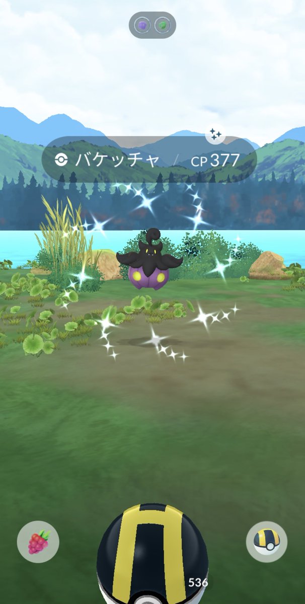 chirooo2024's tweet photo. 福井を満喫中②🦕
#ポケモンGO #ポケふた #色違い https://t.co/Q1JgOslnw6