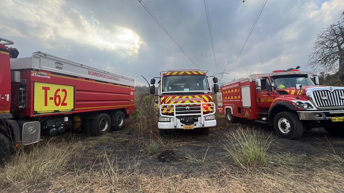 BomberosGYE's tweet photo. [Actualización] 🚨
Un contingente compuesto por más de 12 unidades de combate urbano forestal, un camión cisterna, una ambulancia y 70 bomberos trabajan en el combate del incendio en el cerro La Candelaria, el cual consume vegetación media y alta. 

Nuestro personal trabaja en cuadrillas abriendo trochas y formando líneas húmedas desde el flanco izquierdo. 🧑🏾‍🚒🍂🪾