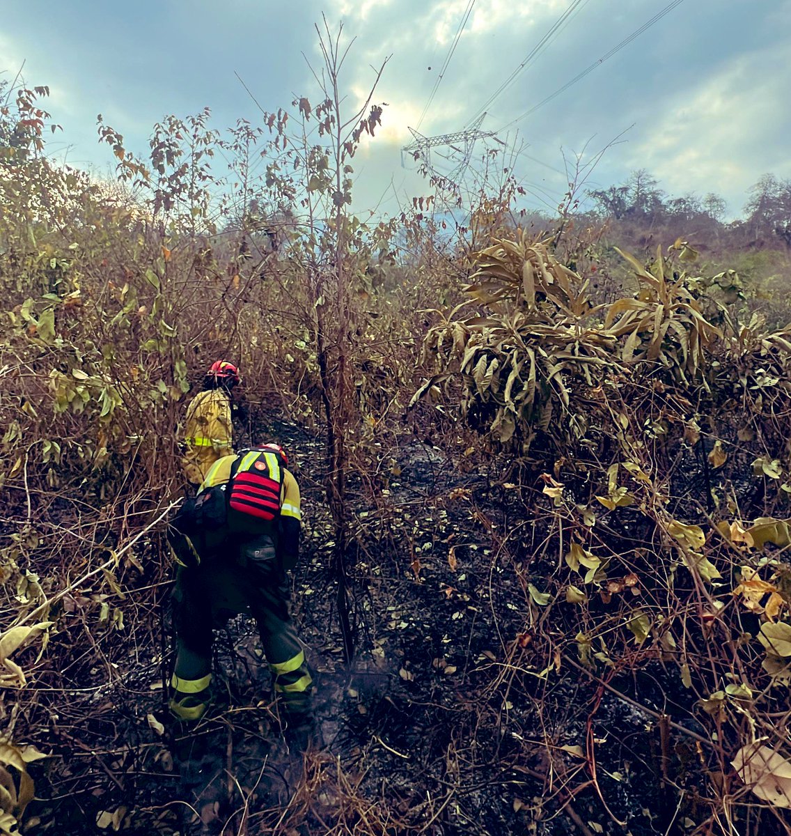 BomberosGYE's tweet photo. [Actualización] 🚨
Un contingente compuesto por más de 12 unidades de combate urbano forestal, un camión cisterna, una ambulancia y 70 bomberos trabajan en el combate del incendio en el cerro La Candelaria, el cual consume vegetación media y alta. 

Nuestro personal trabaja en cuadrillas abriendo trochas y formando líneas húmedas desde el flanco izquierdo. 🧑🏾‍🚒🍂🪾