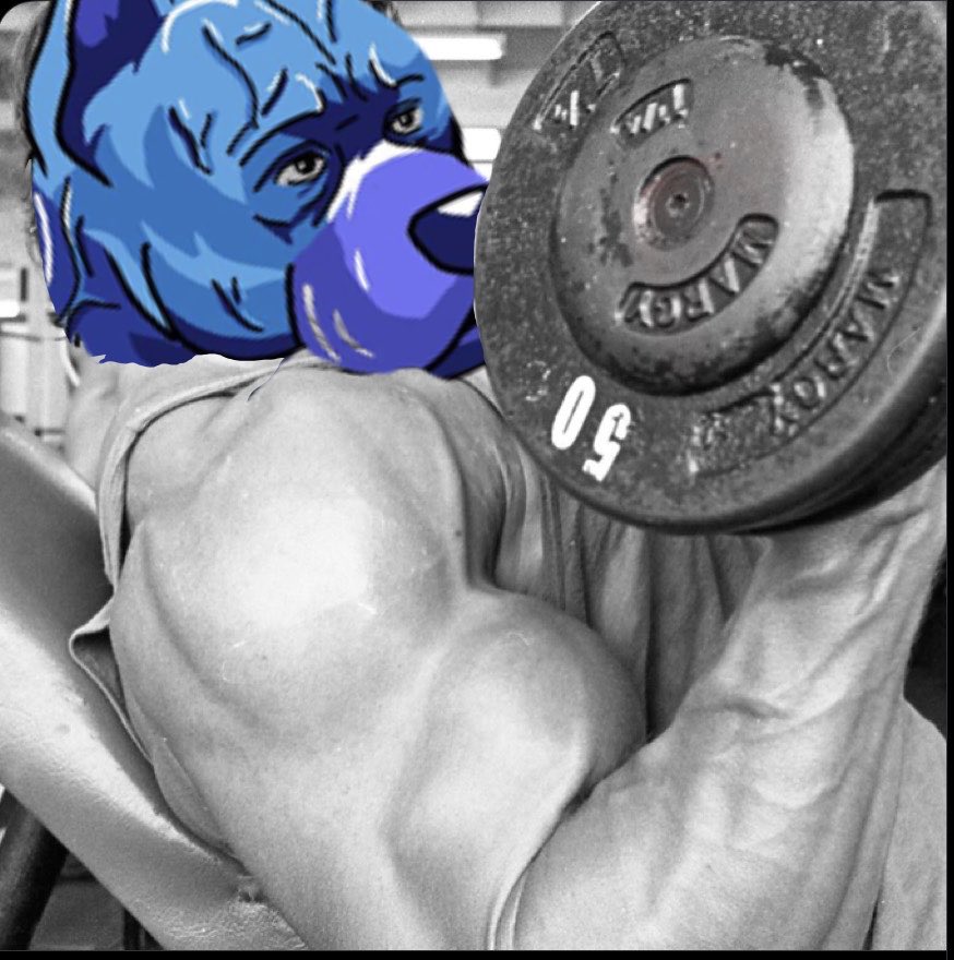 coolthehype's tweet image. One day older and stronger 
Dog stays in 
#Doginme
