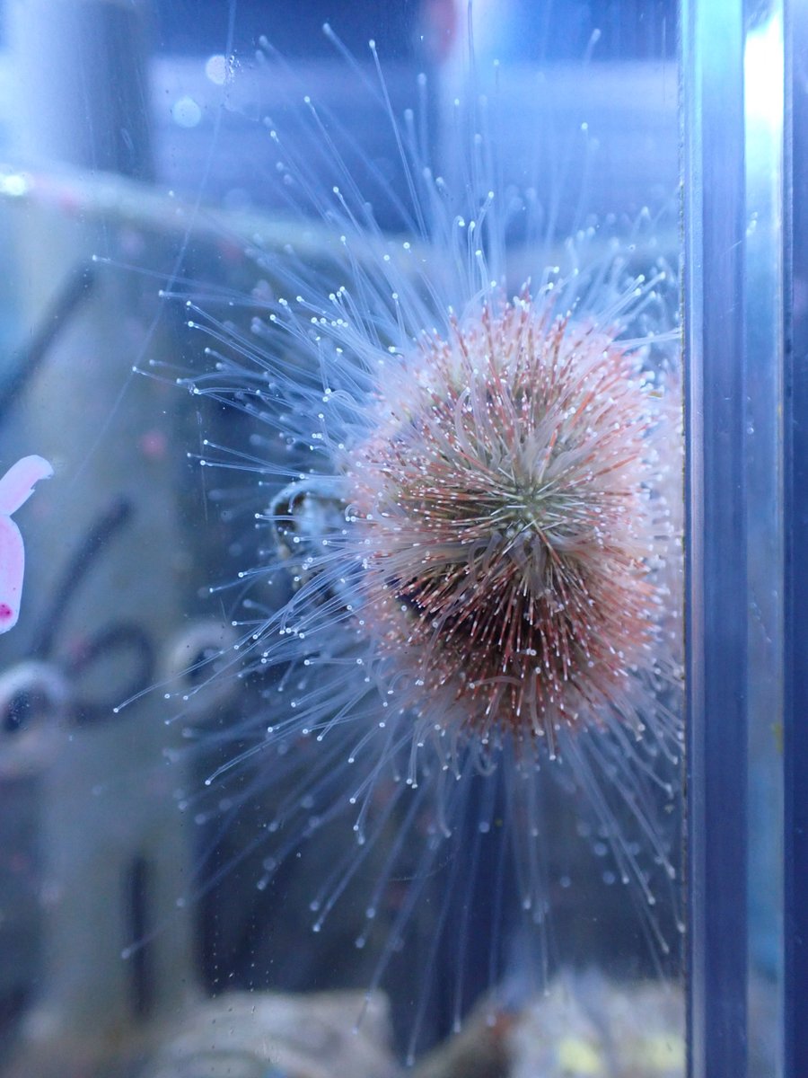 minmin (@1211minmin) / Posts / X