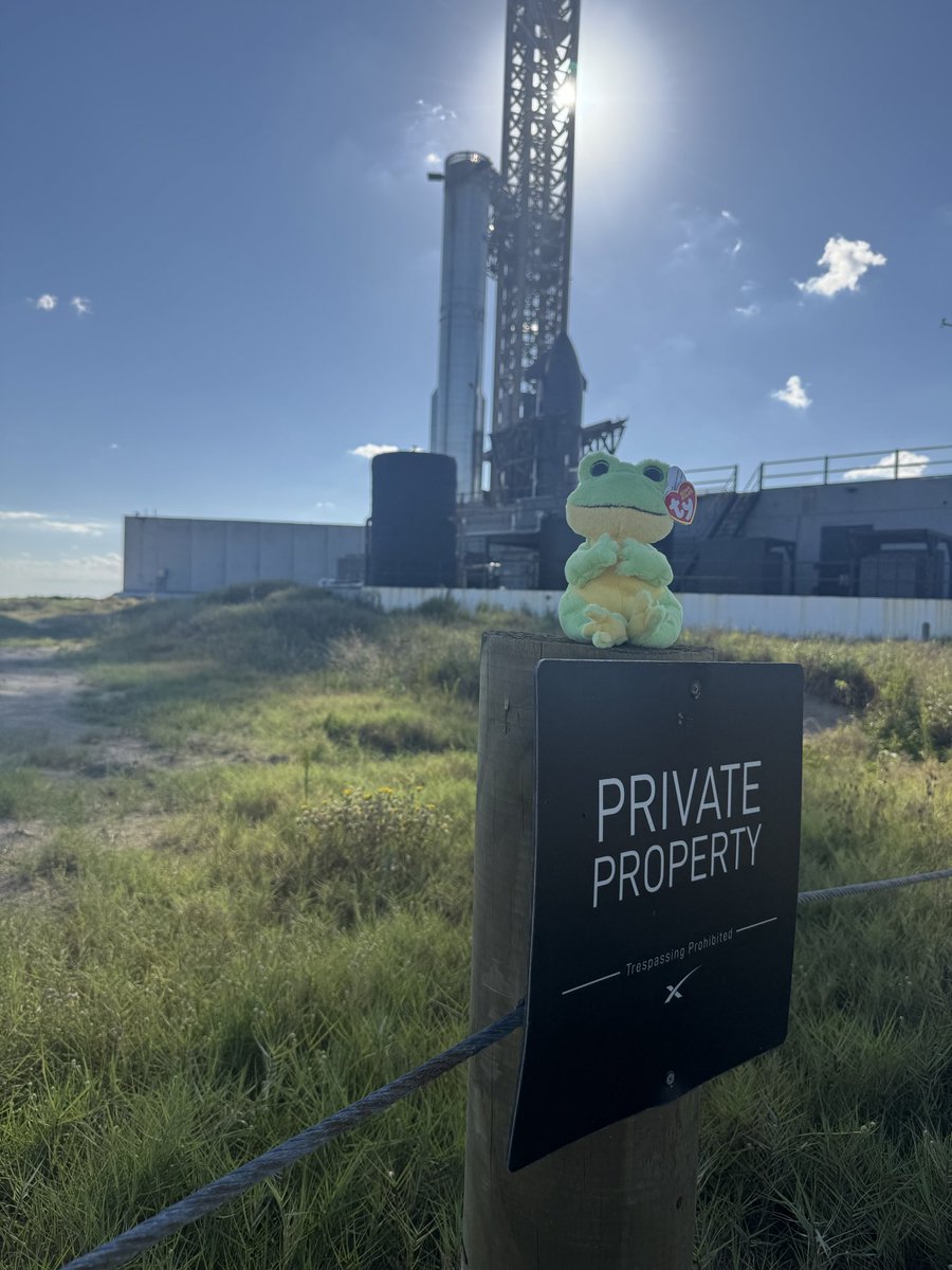 x_esk_x's tweet image. Found a trespasser… 🐸 everywhere nowadays