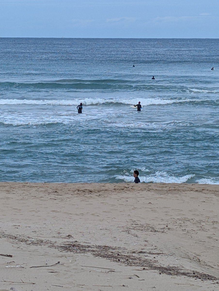 haiji1010's tweet image. ・
秋の海🌊

朝から、ビーチは、賑やかです

波が立ち、楽しそうです🎶

☆☆
波立つ、日本海