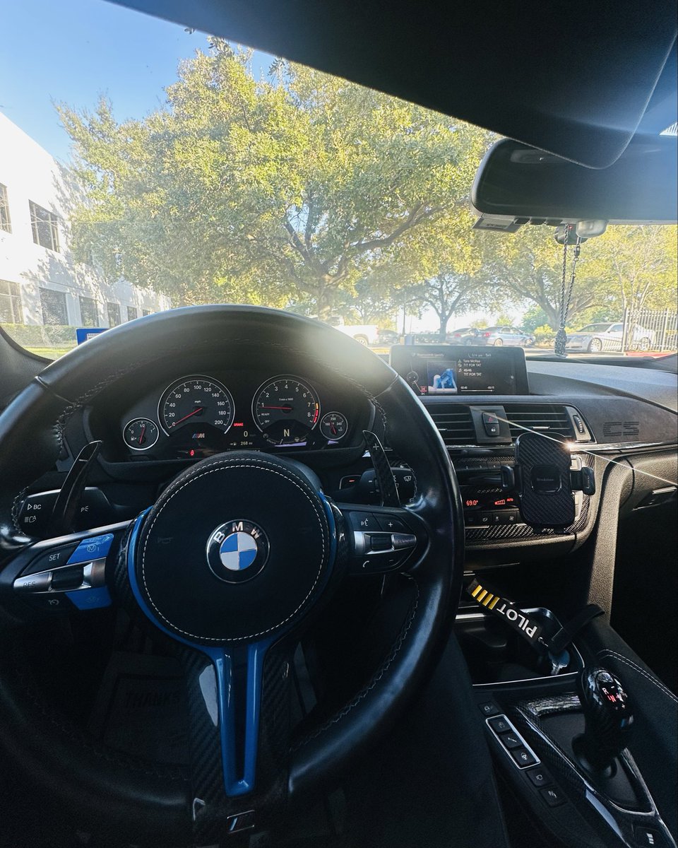 littlefangs's tweet image. #M4CS