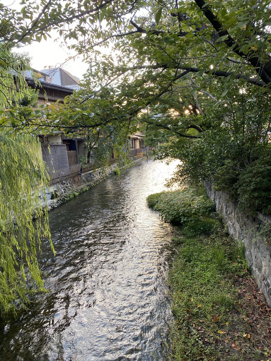 AnnaCiaunica's tweet photo. Bye bye Kyoto - you treated me so well !

Will be back 😎 https://t.co/LmOdTTZeDE