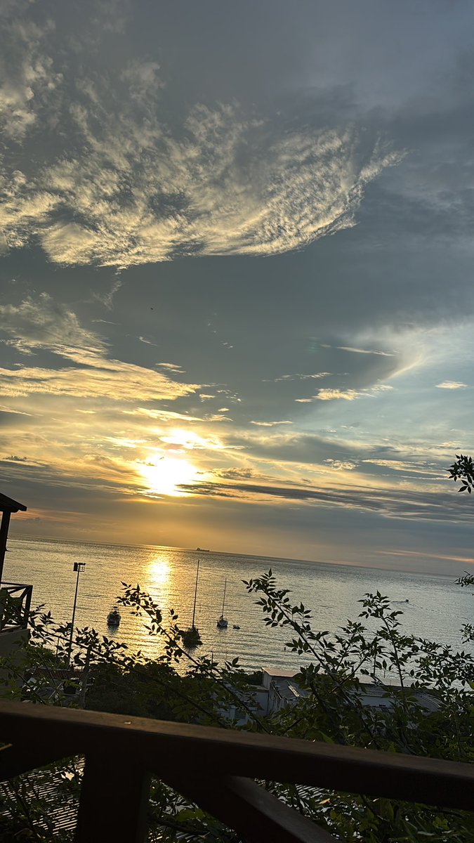 Memo aqui y alla tweet media