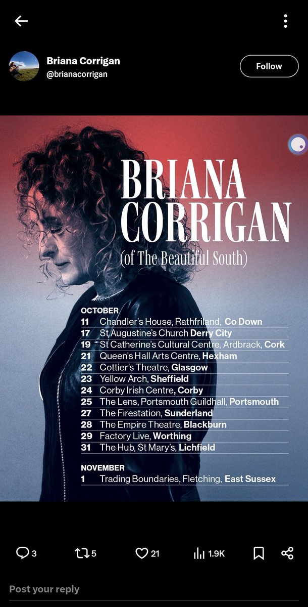 Dominic Carville tweet media