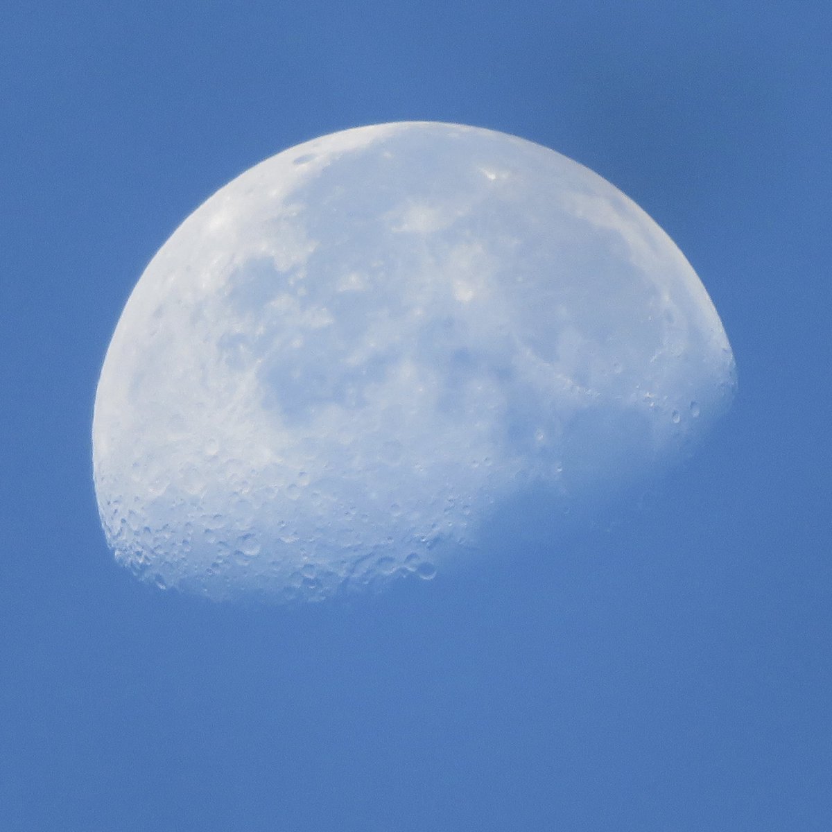 sam_tmk's tweet image. 見上げたらMorning moon♪

#月 #Moon