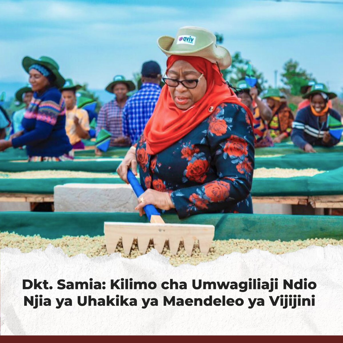 “Kilimo ni uti wa mgongo wa Taifa” kauli hii imeendelea kupata maana halisi chini ya uongozi wa Dkt. Samia Suluhu Hassan, Mgombea Urais wa Jamhuri ya Muungano wa Tanzania kupitia Chama Cha Mapinduzi (CCM), ambaye ameweka kilimo kuwa kipaumbele cha kwanza katika ajenda ya