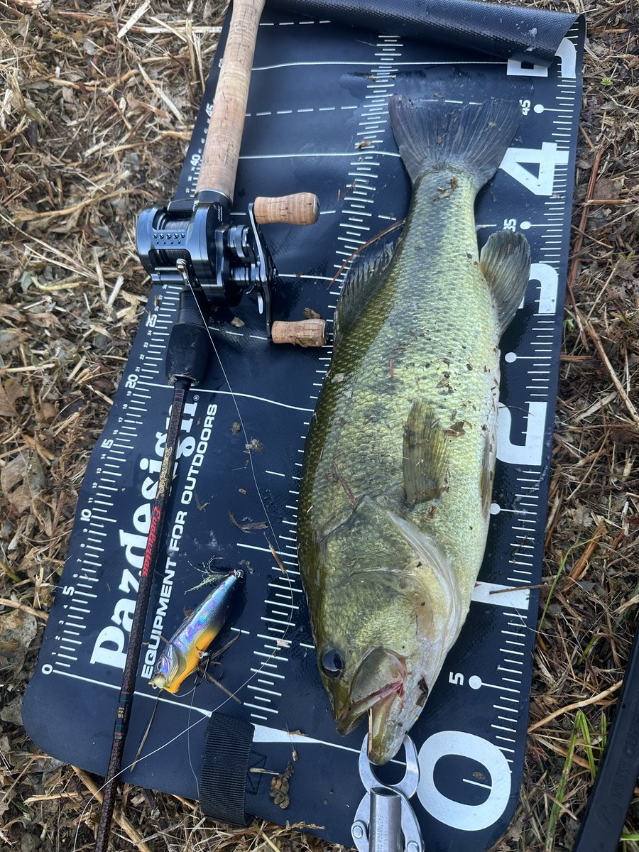 ☆週末セール中！ロッド　⑬ RYO (@72hayatew) / Posts / X