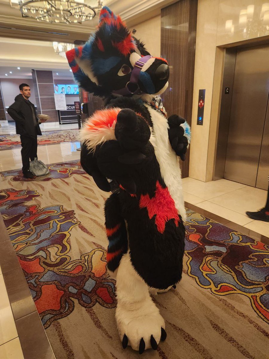 Shadowthewoofawoo tweet media