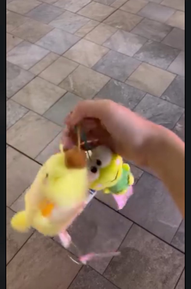 bornastaursV2's tweet image. FM: “Freen managed to win like 4 dolls. She said, since you two are girlfriends, you can have these as a matching set — like couple dolls.”

and Freen Sarocha gave one to Becky?
so, what does it mean? 🤓😂