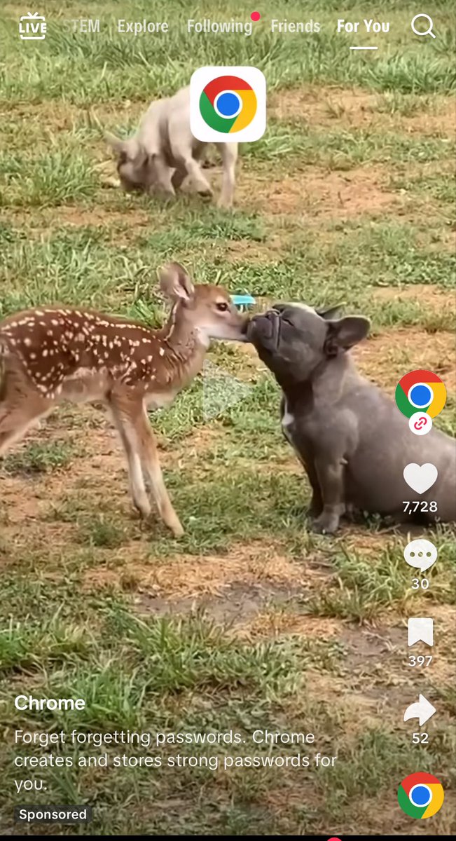 I hardly ever trade memes (tech is my niche) 

$pibble is an exception and I believe it can be the dog of this cycle. Scrolling on TikTok today and saw a Google chrome ad with Pibble in it! 

I have been adding but I hope another dip opportunity comes. Wash my belly !