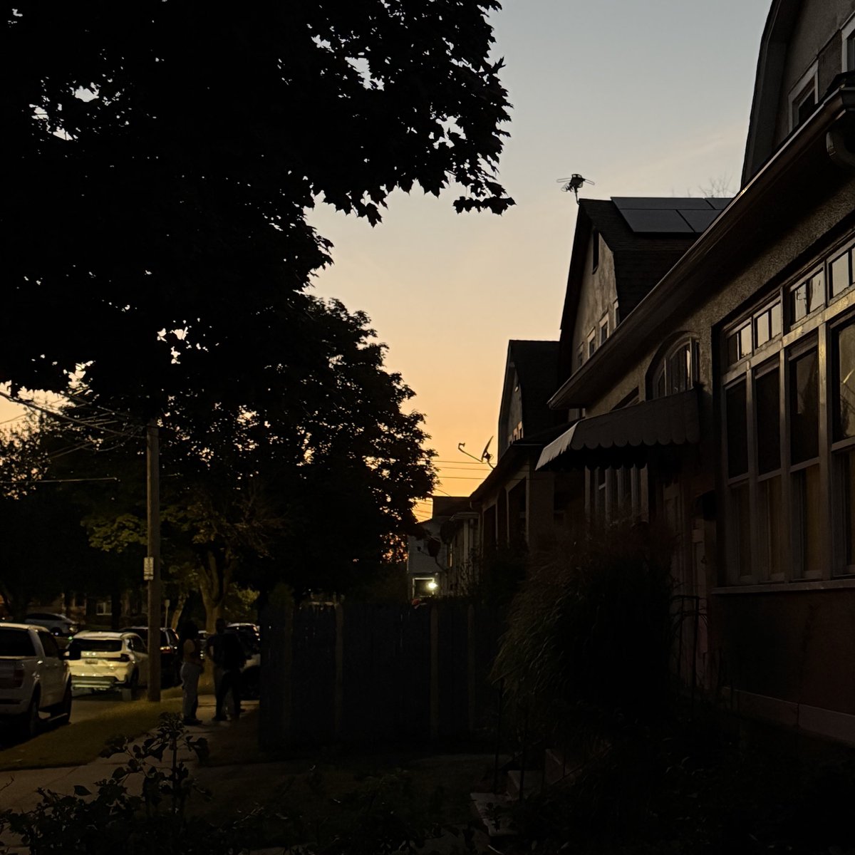 bearemoticon's tweet image. Recently