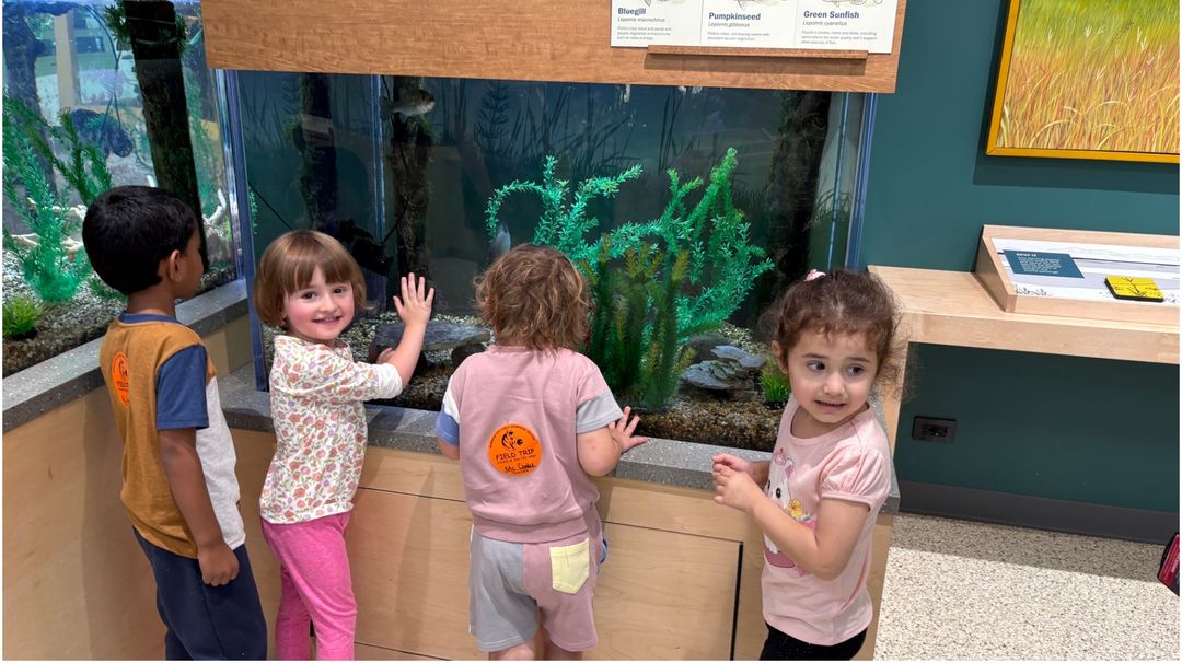 Students learning in nature! #TreeUnit <a href="/TeachStrategies/">Teaching Strategies</a> 🌳🌳 <a href="/BarringtonELC/">Early Learning Center</a>