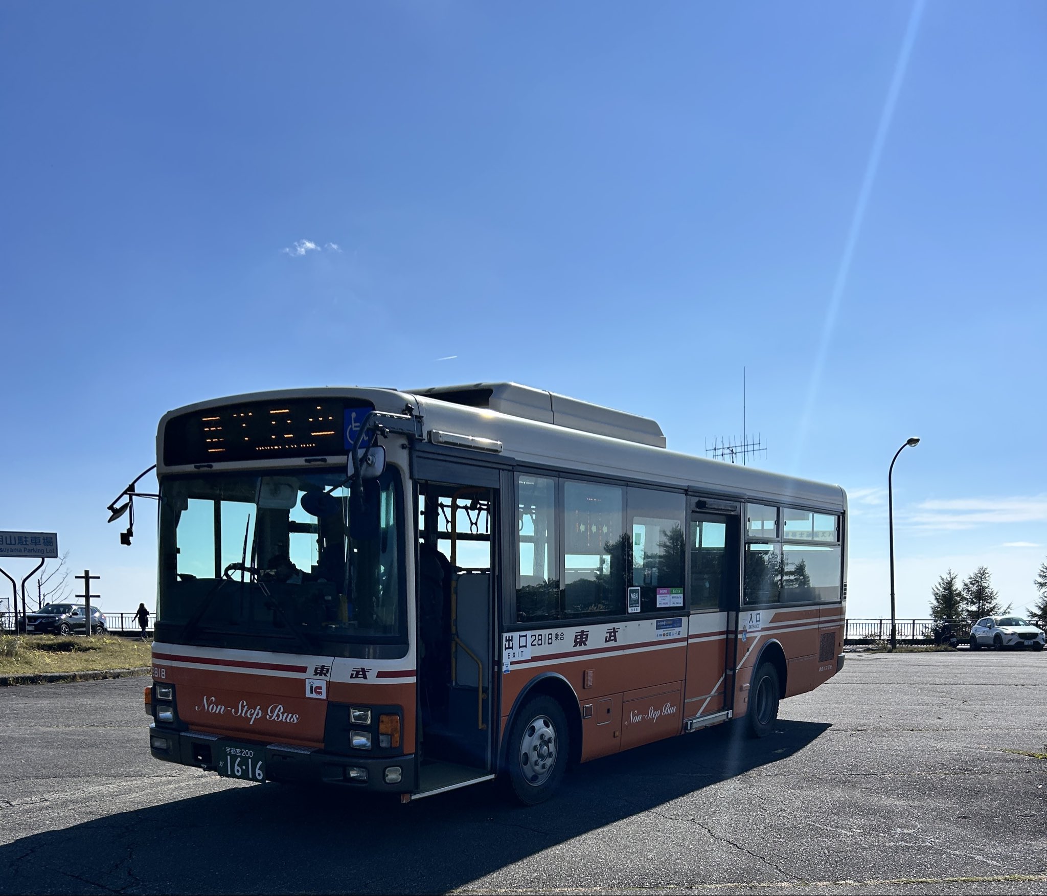 807さんBUCEPHALANDRA 光沢優先 807さんBUCEPHALANDRA 光沢優先