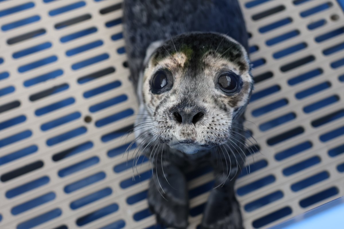 Have you voted for VAMMR today?! Help us win a new Land Rover Defender and $30,000!
ow.ly/Uq3u50X3gRk