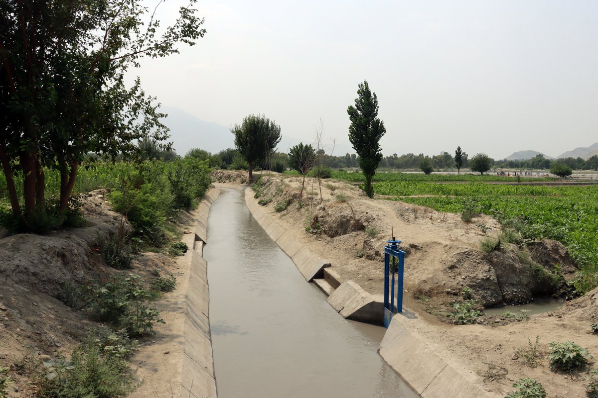 FAOAfghanistan's tweet image. In Kunar, @FAO rehabilitated the Upper &amp;amp; Lower Sarkani Canals.

Farmers can now irrigate 450ha (up from 350ha), with reduced water losses and a more reliable supply.

This was supported by @SaudiFund_Dev, @isdb_group, @OIC_OCI &amp;amp; #AHTF.
#EveryDropCounts💧