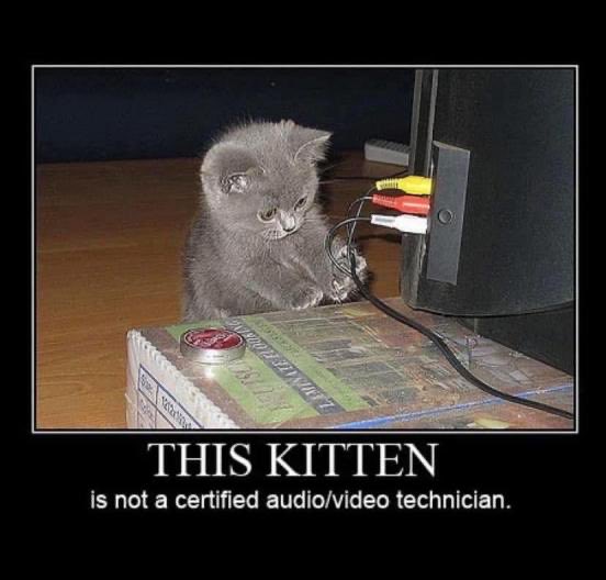 WrittenByMurphy's tweet image. For my #avtweeps on a Saturday night