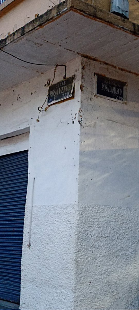 MUCMAM1's tweet photo. #socavon entre las calles
Rosa Damasco y Rosa Venus. 
Se observa que tiene una considerable profundidad y está a un costado de una coladera de drenaje. 
Esperamos que pase el camión escolar? 
#obras @ClaraBrugadaM @C5_CDMX @SOBSECDMX @SSC_CDMX #socavon https://t.co/0l2n5mRoVI