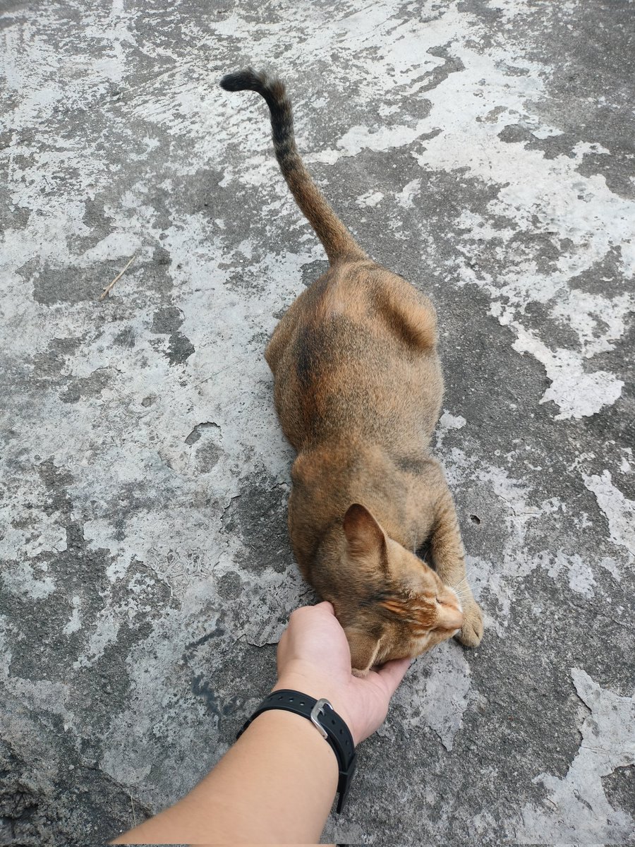 Skipper Lee tweet media